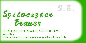 szilveszter brauer business card